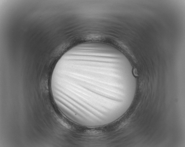 X0000066960633200604142116