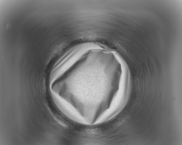 X0000066960638200604142116