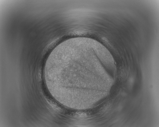 X0000066960640200604142116