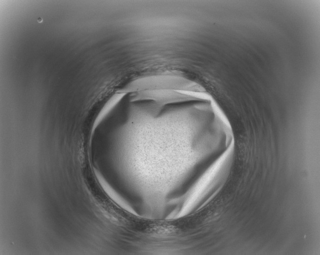 X0000066960642200604142116