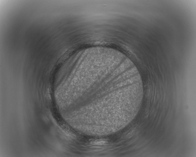 X0000066960643200604142116