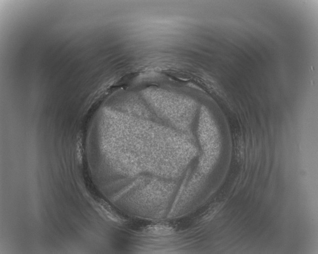 X0000066960644200604142116