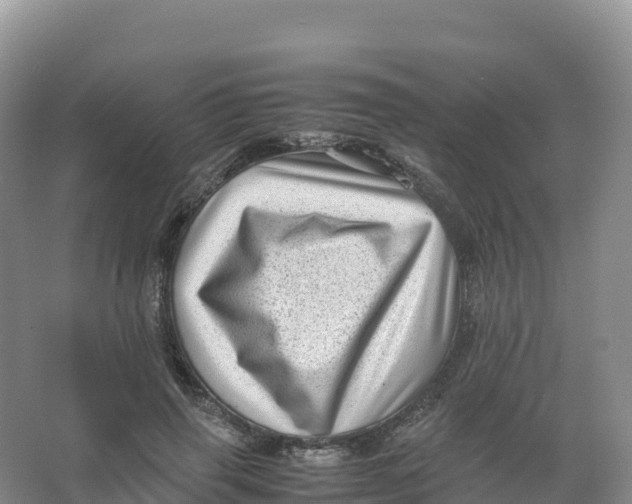 X0000066960645200604142116