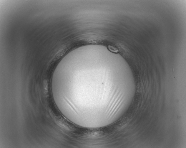 X0000066960646200604142116