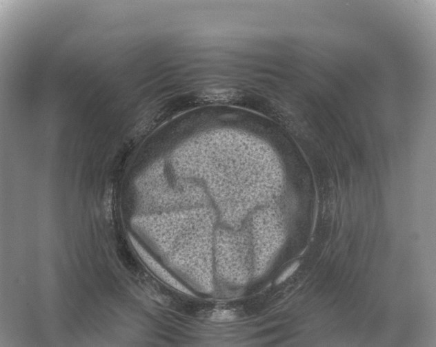 X0000066960647200604142116