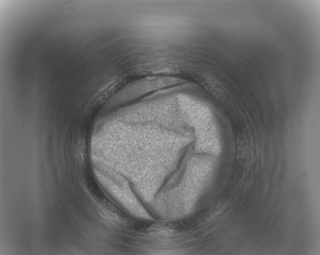 X0000066960648200604142116