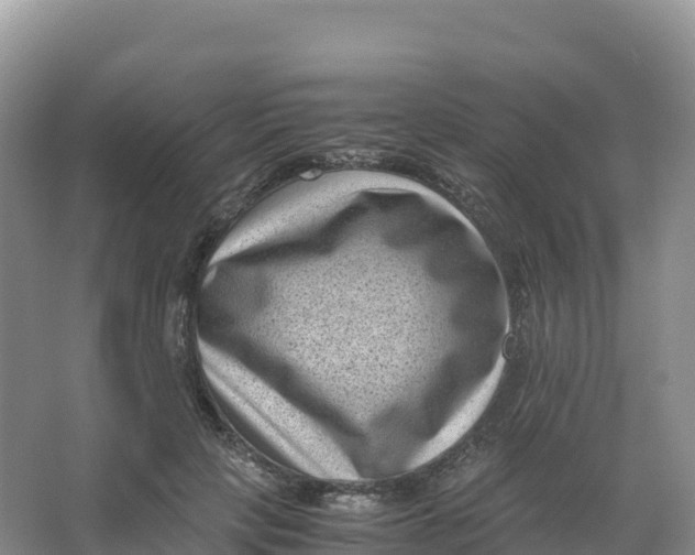 X0000066960649200604142116