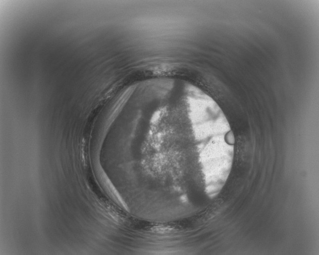 X0000066960650200604142116