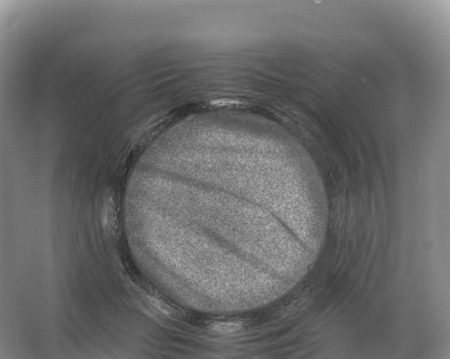 X0000066960653200604142116