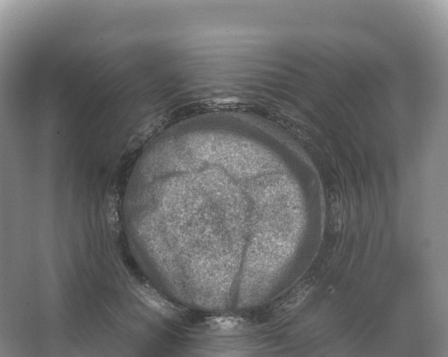 X0000066960654200604142116