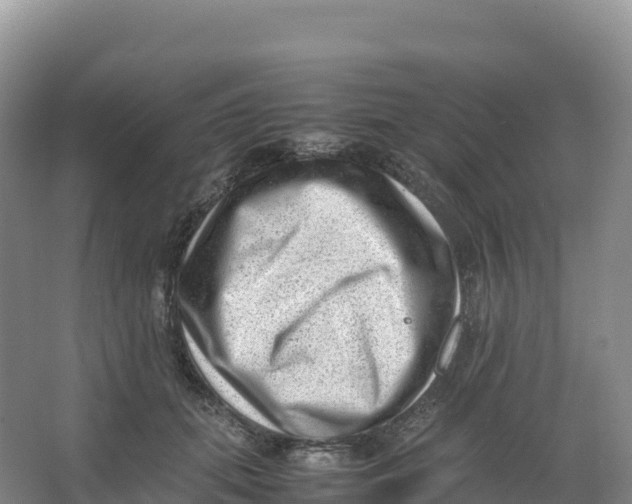 X0000066960655200604142116