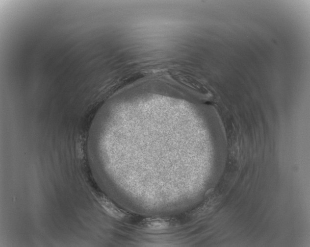 X0000066960658200604142116