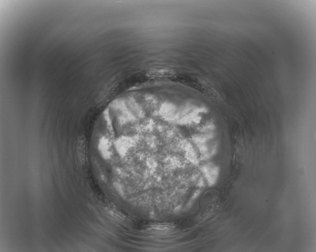 X0000066960659200604142116