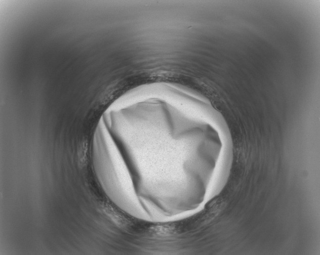 X0000066960660200604142116