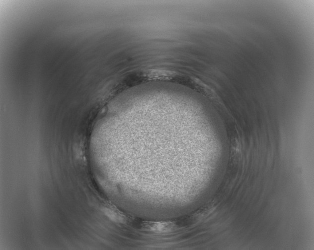 X0000066960663200604142116