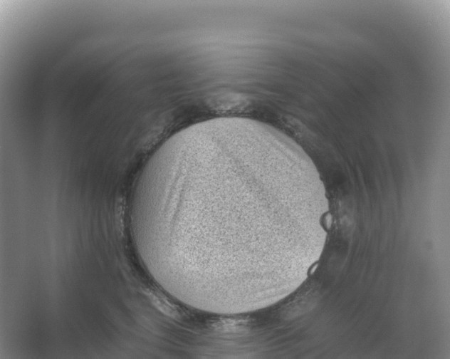 X0000066960664200604142116