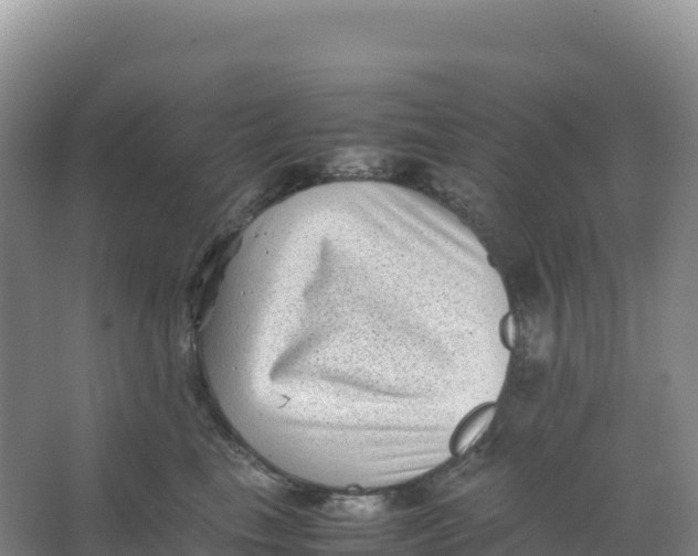 X0000066960665200604142116