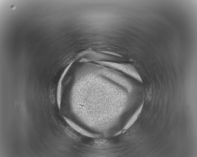 X0000066960666200604142116