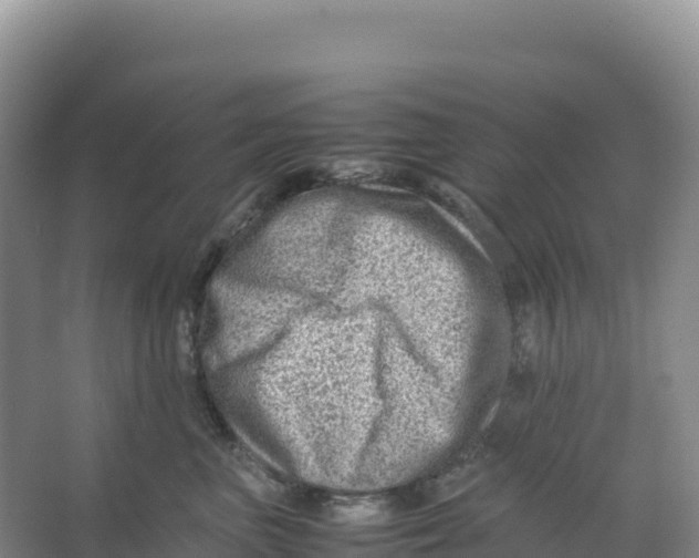 X0000066960667200604142116