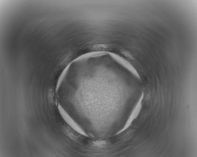 X0000066960669200604142116