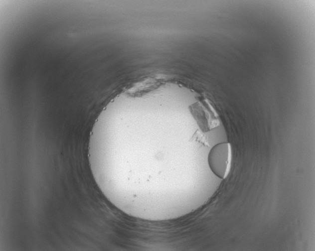 X0000066960672200604142117