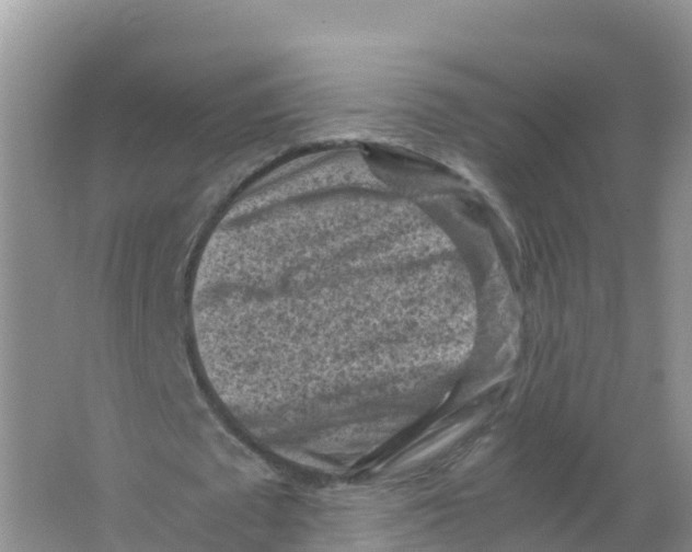 X0000066960673200604142116