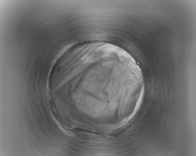 X0000066960674200604142116