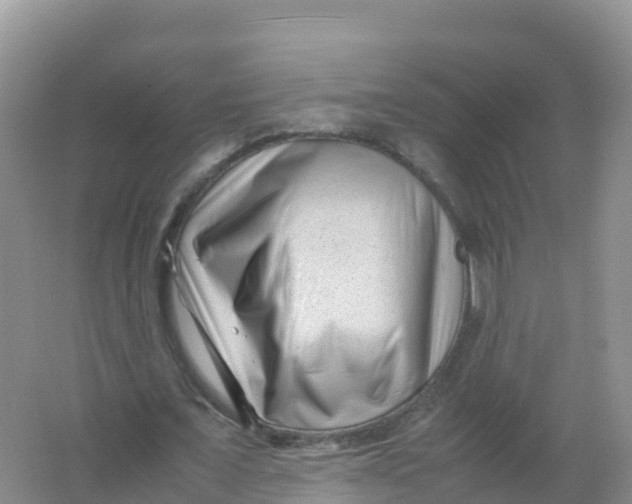 X0000066960675200604142116