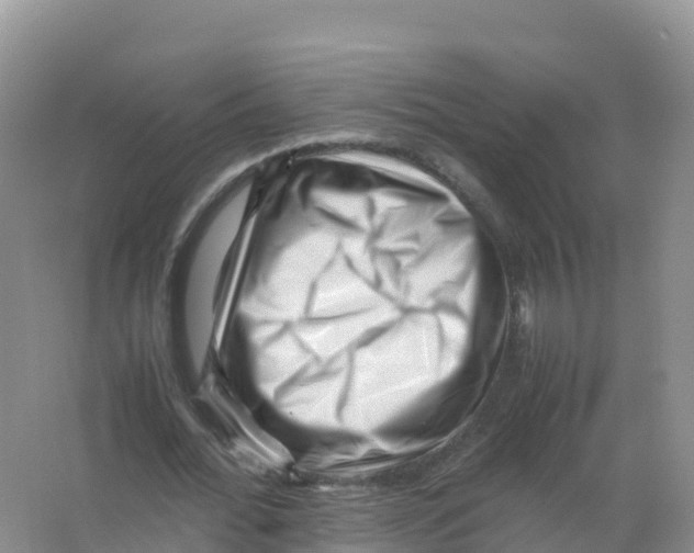 X0000066960676200604142116