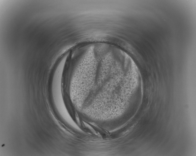 X0000066960677200604142116