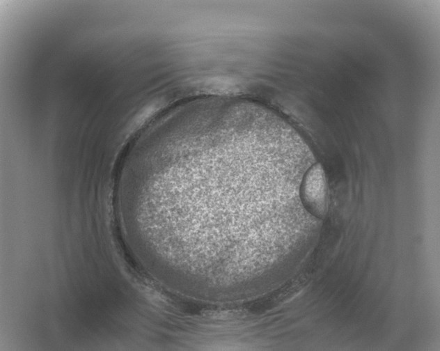 X0000066960679200604142116