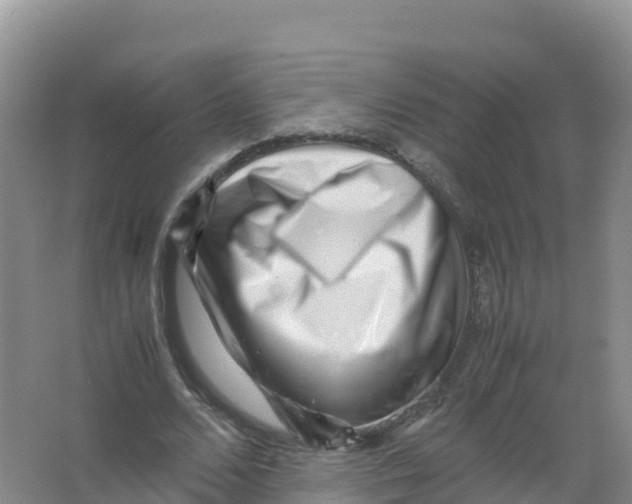 X0000066960680200604142116