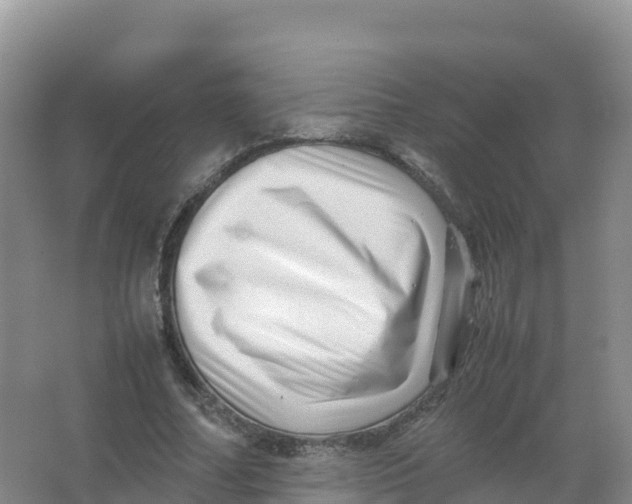 X0000066960682200604142116