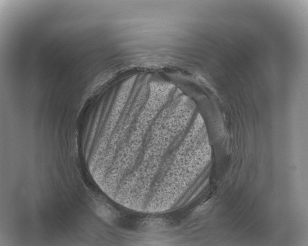 X0000066960685200604142115