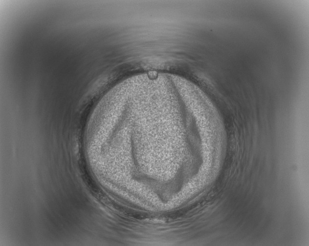 X0000066960687200604142115