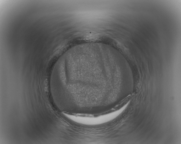 X0000066960689200604142115