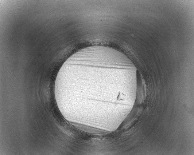 X0000066960690200604142115