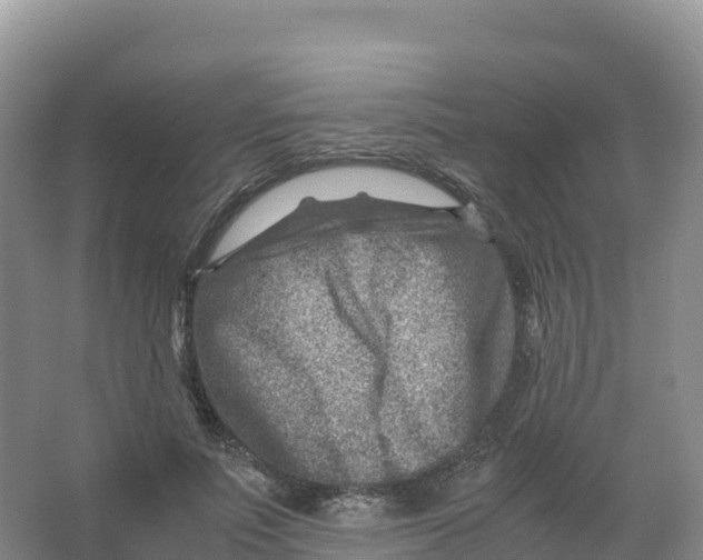 X0000066960691200604142115