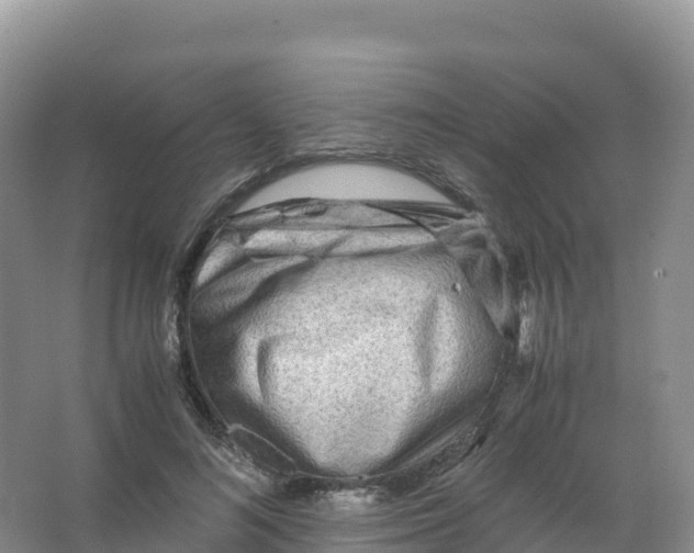 X0000066960692200604142115