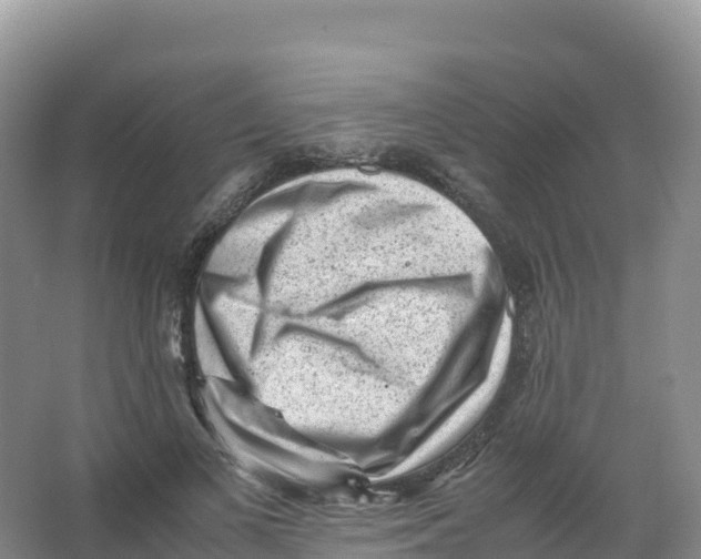 X0000066960693200604142115