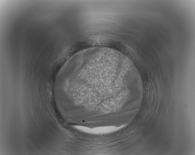 X0000066960695200604142115