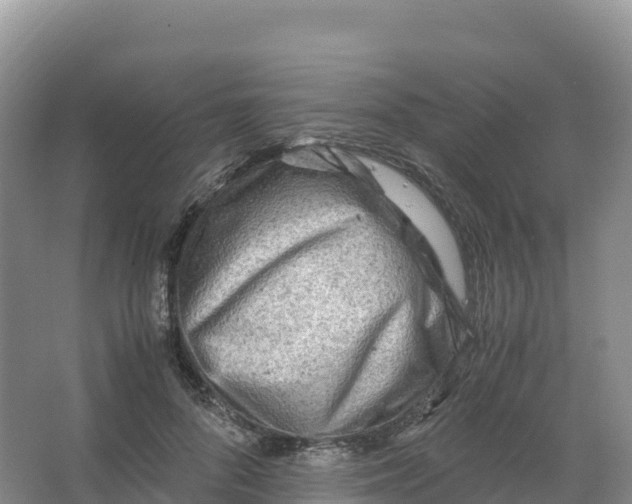 X0000066960696200604142115