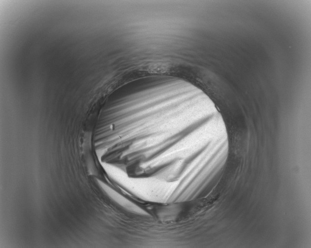 X0000066960697200604142115