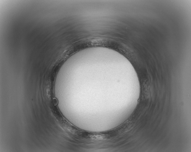 X0000066960698200604142115