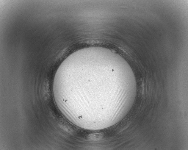 X0000066960700200604142115