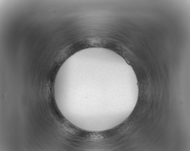 X0000066960702200604142115