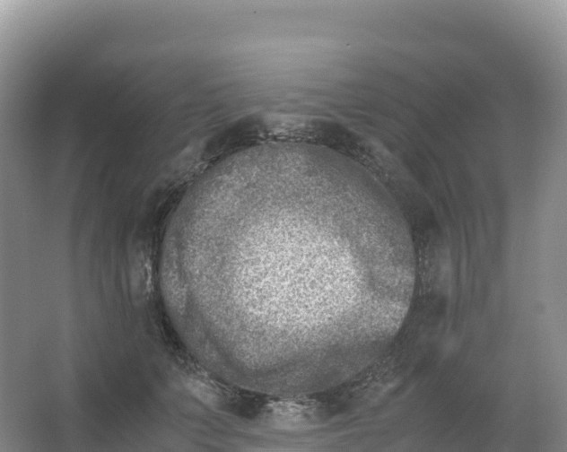 X0000066960703200604142115