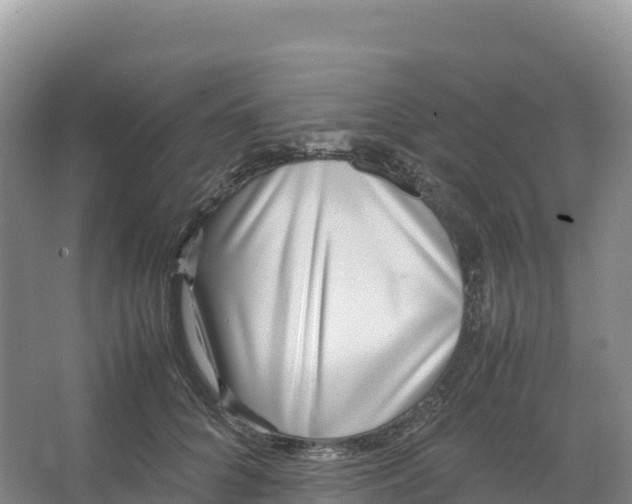 X0000066960704200604142115