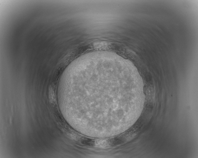 X0000066960705200604142115