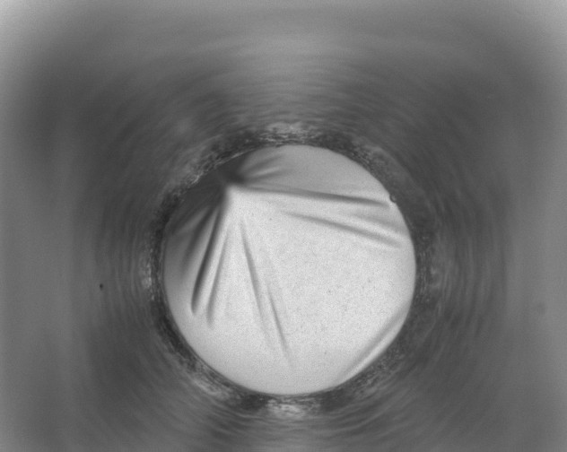 X0000066960706200604142115